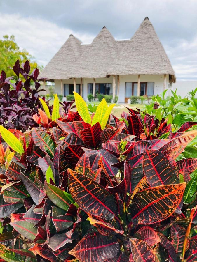 Miti Beach Bungalows نونغوي المظهر الخارجي الصورة